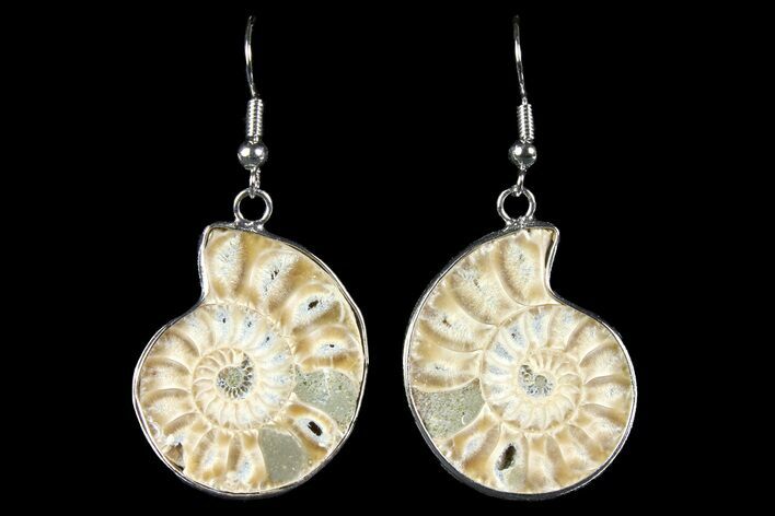 Fossil Ammonite Earrings - Million Years Old #152012